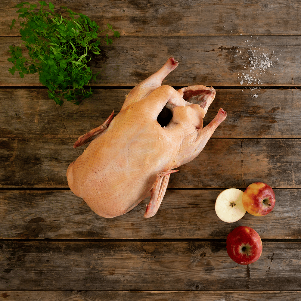 And - Depositum (Afhentning fra 12. - 22. dec.)